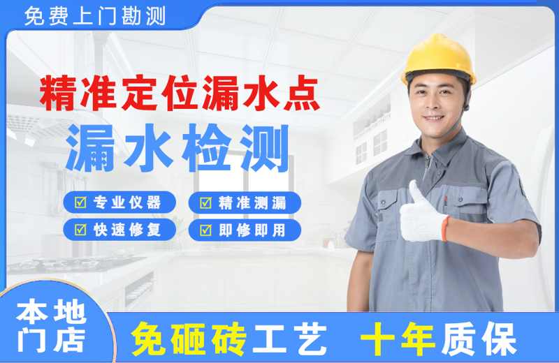 凤凰精准测漏点